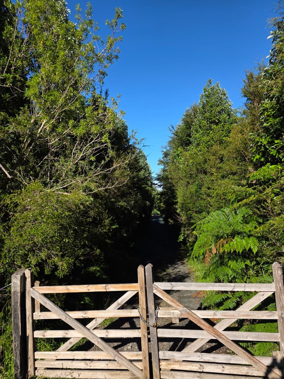 Portón de acceso